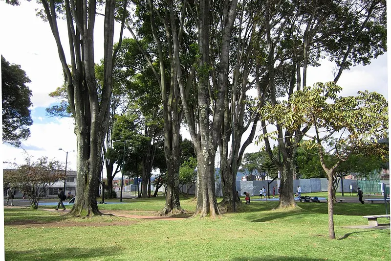 Trasteos en Los Alcázares